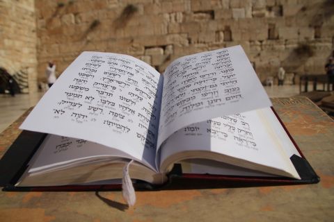 روسيا تسخر بفيديو من العائلة الملكية البريطانية بسبب فضائح إبستين