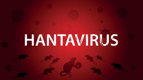 What is the Hantavirus disease?