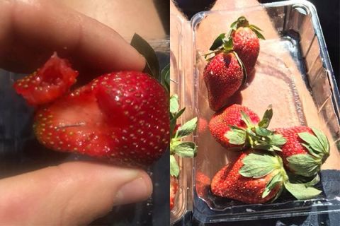 Nationwide Scare in Australia as Boy Found Sticking Needles in Strawberries 