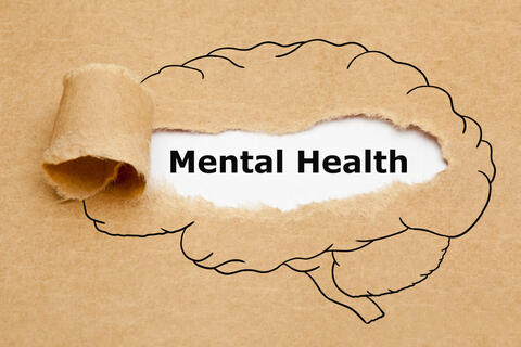 Mental Health Days Should Be an Employee’s Right, and Here Is Why! 