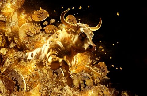 Tips for Traders: Diversifying Your Trading Portfolio