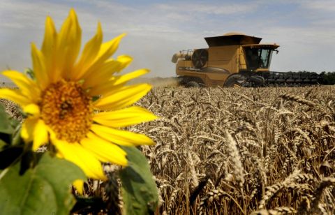 Authorities suspend all Israeli imports from Gaza