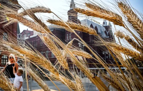Russia declares Ukraine grain deal over, unless...