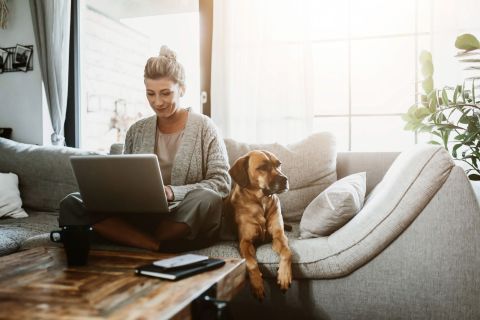 Where to look for work-from-home opportunities