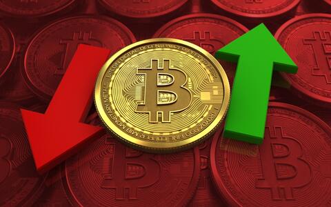 Crypto News Recap: Elon Musk's Tweets Drive Up Bitcoin, Dogecoin Rally