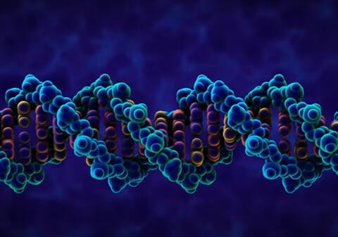 ظاهرة اذهلت العلماء.. امرأة تكتشف انها أم وخال ابنتها !