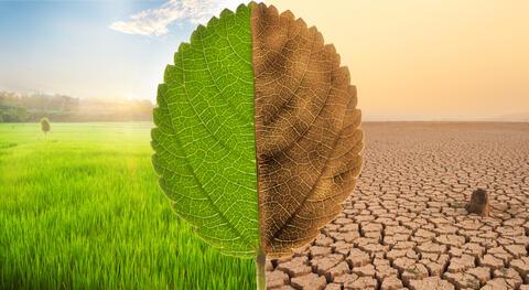 Climate Change is Driving Migration, Mainly Inside Nations