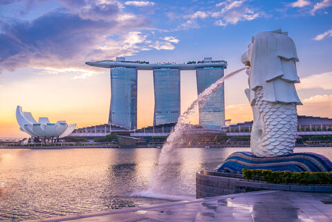 Why Will Singapore Stop Its Daily Covid Count?