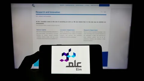 PIF-Owned Elm Seeks $820 Million From IPO